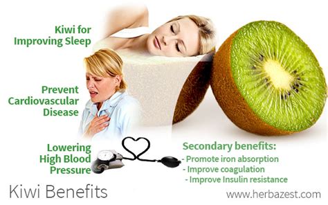 Kiwi Benefits | HerbaZest