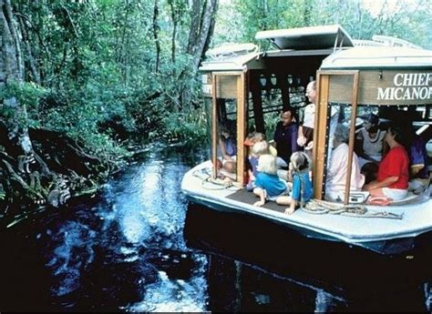 Glass-Bottom Boats, History and Monkeys at Silver Springs (PHOTOS) | Florida travel, Glass ...