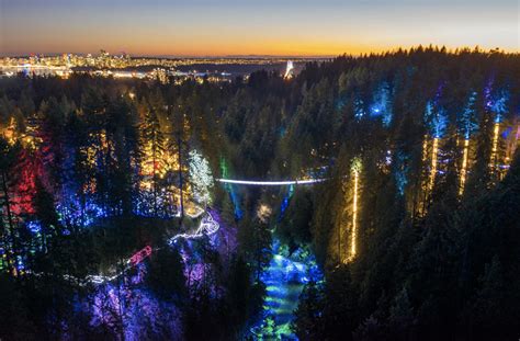 Capilano Suspension Bridge's Canyon Lights Now Open