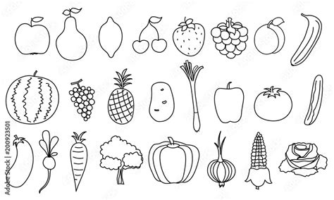 Set of simple drawing fruits and vegetable. Outline healthy food ...