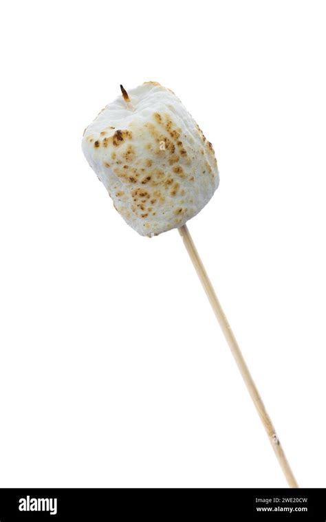 Close up of a toasted marshmallow on a stick isolated on a white background Stock Photo - Alamy