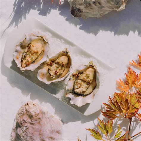 Fresh Oysters for Sale Online - Buy Live Oysters | Taylor Shellfish Farms