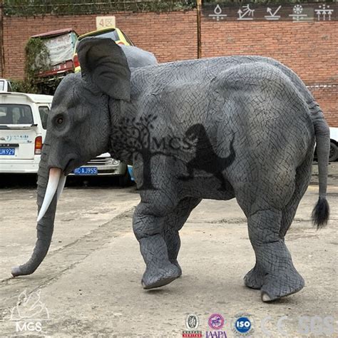 Adult Realistic Elephant Costume-two Performers official Web: - Etsy