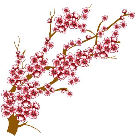 Cherry Blossom Tree Branch TEXTURE by GKWill on DeviantArt