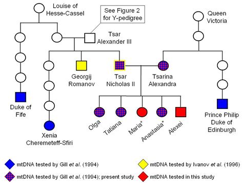 Mystery Solved: The Identification of the Two Missing Romanov Children ...