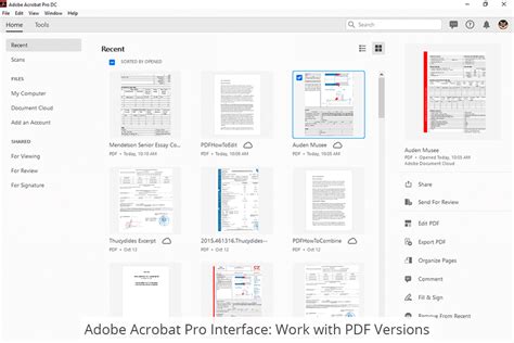 Adobe Acrobat Standard vs Pro Comparison 2024