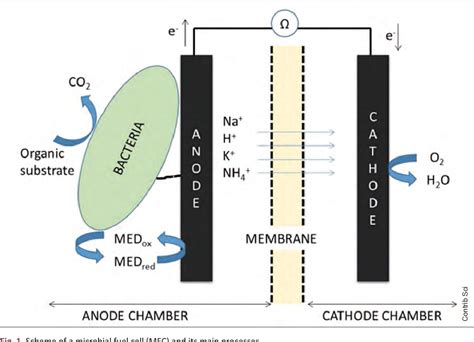 Figure 1 from Microbial fuel cells implemented in constructed wetlands: Fundamentals, current ...