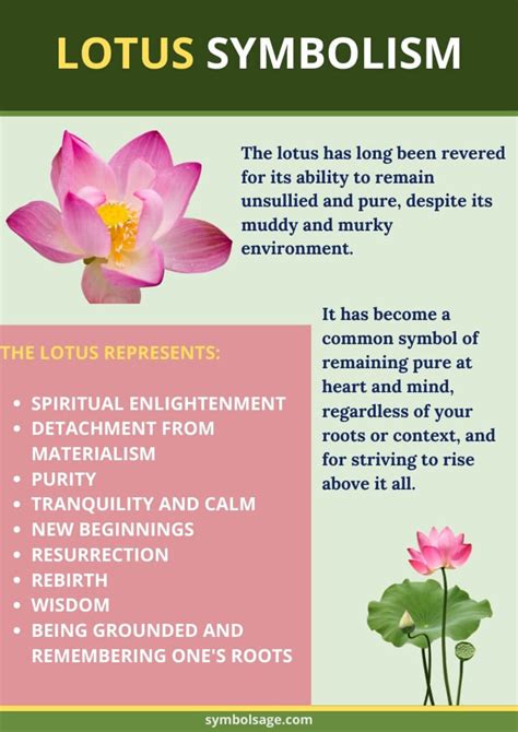 Lotus Flower Meaning: Purity, Enlightenment, and Resilience