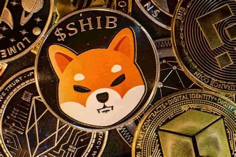 Mysterious $4.8 Billion Shiba Inu (SHIB) Owner Activates Wallet After 6 ...