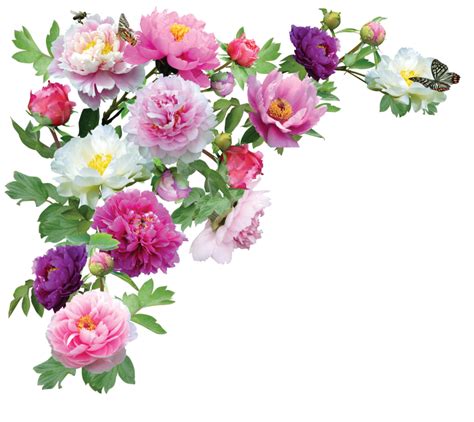 Flower HD PNG Transparent Flower HD.PNG Images. | PlusPNG