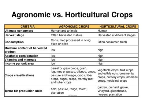 Fruits and Plantation Crops with Horticultural Classification