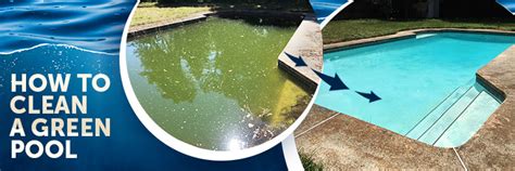 How to Clean a Green Pool? - INYOPools.com - DIY Resources