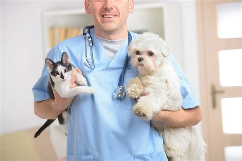 Finding Free or Low Cost Pet Clinics in New York? | ThriftyFun