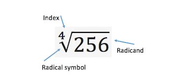 How to Find the Fourth Root of a Number - Lesson | Study.com