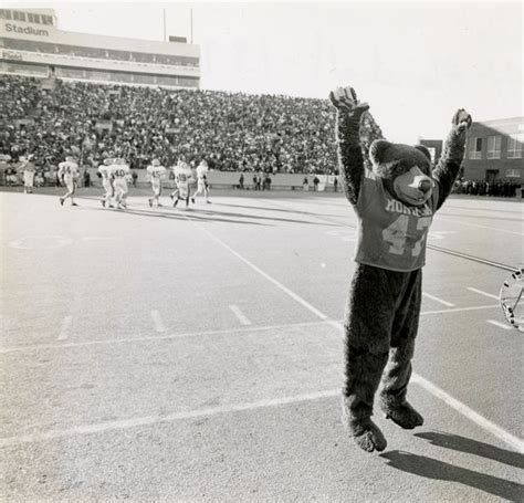 Monte, Montana Grizzlies mascot. (1995) | University of montana ...