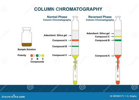 Normal Phase And Reversed-Phase Column Chromatography Royalty-Free ...