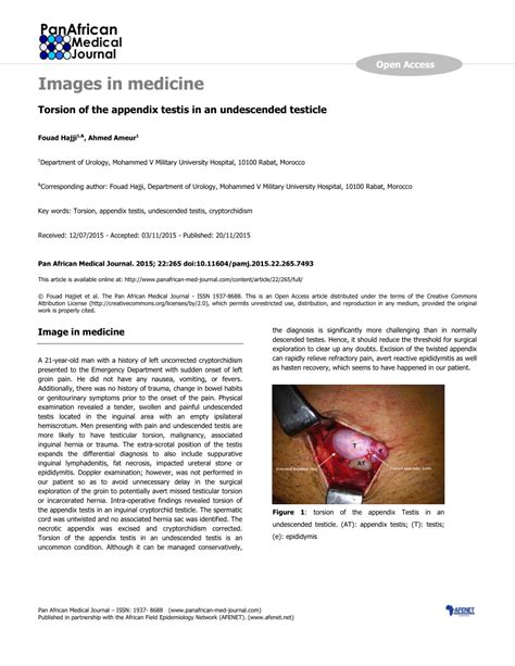 (PDF) Torsion of the appendix testis in an undescended testicle