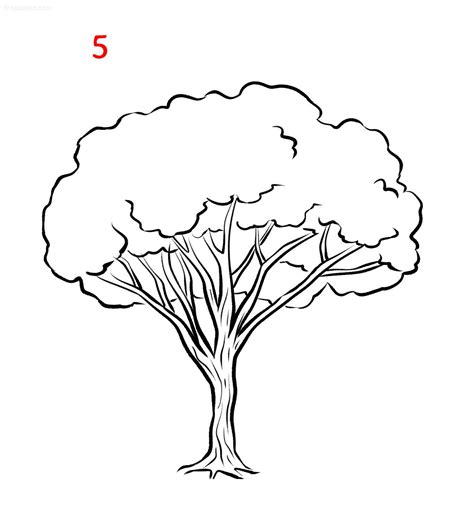 Easy Tree Drawing » How to draw a Tree