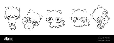 Set of Kawaii Isolated Raccoon Coloring Page. Collection of Cute Vector Cartoon Forest Animal ...