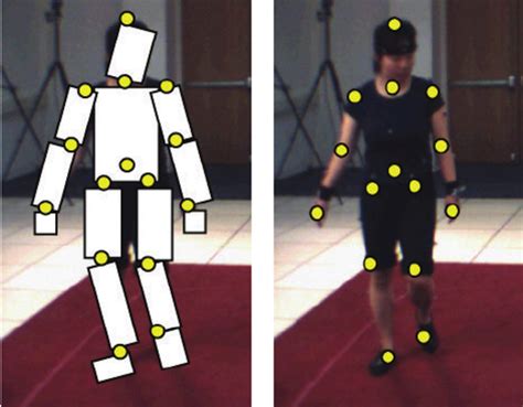 Articulated human model. (a) 3D model and joints, (b) 2D model and... | Download Scientific Diagram