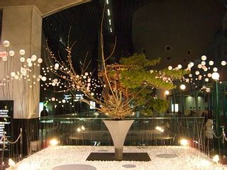 Modern Japanese Flower Arrangement 7, Ikebana: 現代いけばな | Flickr