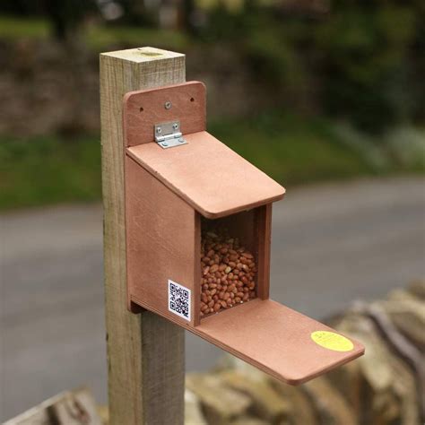 Squirrel Feeder | The Nestbox Company