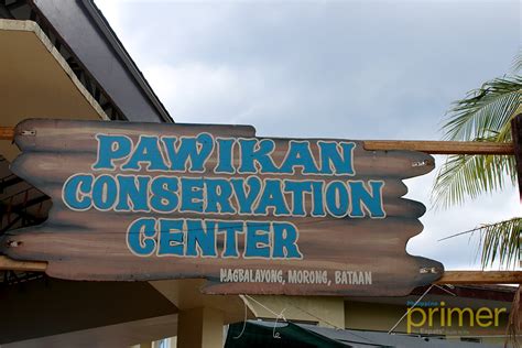 Pawikan Conservation Center in Bataan | Philippine Primer