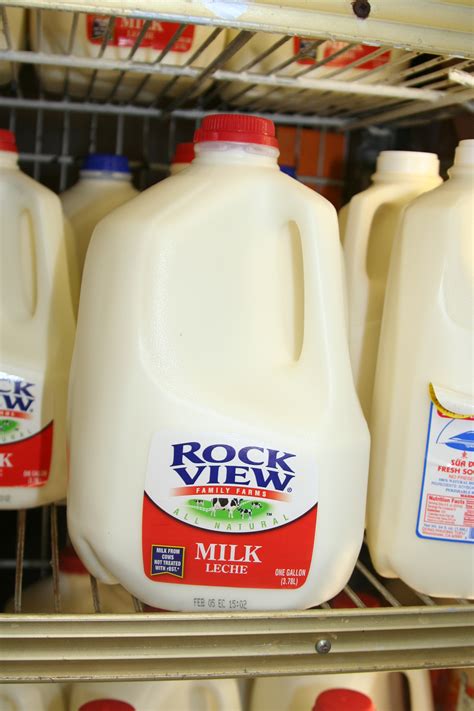 File:Milk jug upright.jpg - Wikipedia