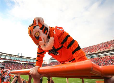 Meet “the Tiger,” Clemson’s Mascot – Garden & Gun