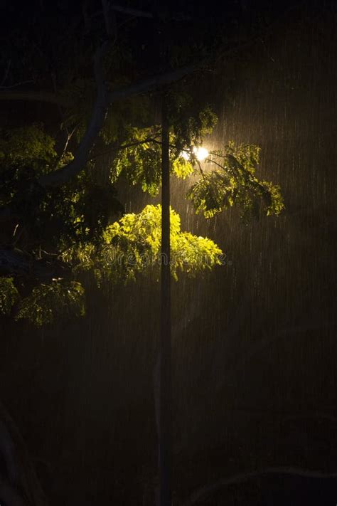 Heavy Rain during the Night Stock Image - Image of green, rain: 103127001