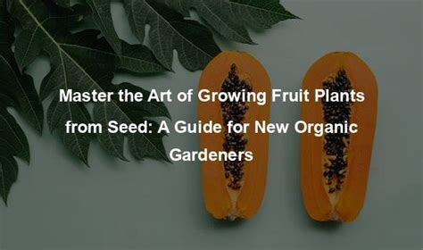 Master the Art of Growing Fruit Plants from Seed - Organic Seed Finder