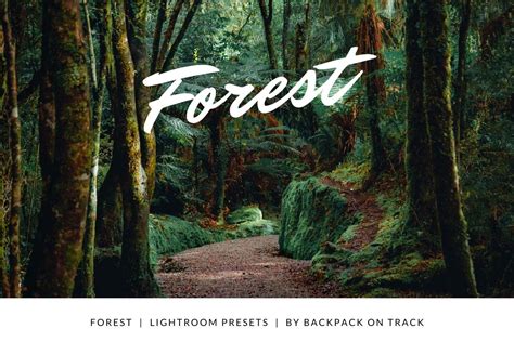 Forest | Lightroom and Photoshop Presets - FilterGrade