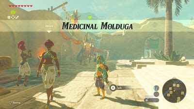 Medicinal Molduga - Zelda Dungeon Wiki, a The Legend of Zelda wiki