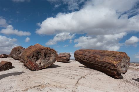 Petrified Forest National Park and the Painted Desert Arizona- The Daily Adventures of Me