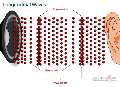 Longitudinal Wave