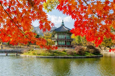 Herbst Von Gyeongbokgungs-Palast In Seoul, Korea Stockfoto - Bild von ...