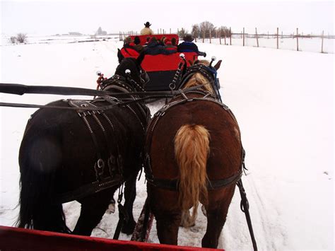 Steamboat Springs Sleigh Ride | Faux Farm Girl