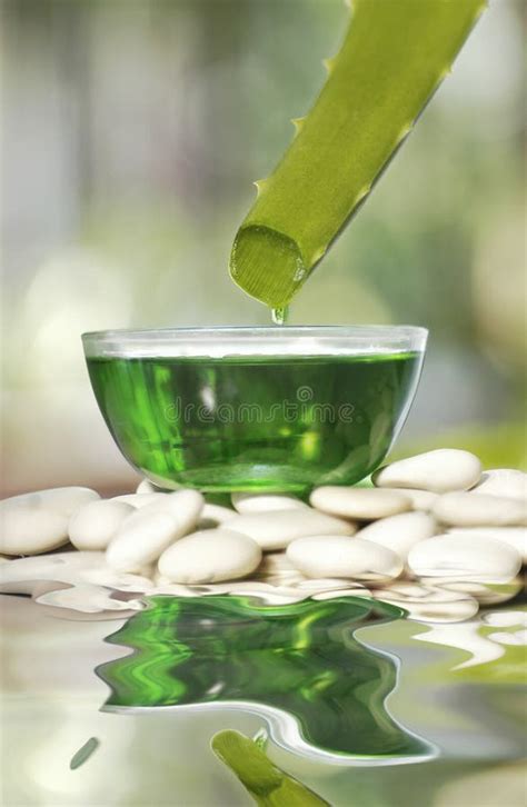 Herbal essence stock image. Image of liquid, reflection - 30148387