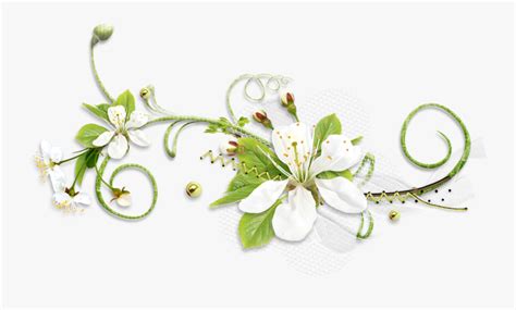 Sympathy Flower With Transparent Background , Free Transparent Clipart - ClipartKey