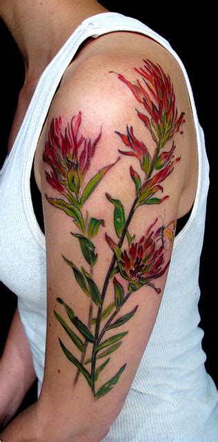 Scientific Illustration | Indian Paintbrush Tattoo Esther Garcia