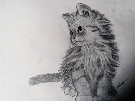 Comment dessiner un chaton (débutant) | Dessin chat, Dessin de chat mignon, Chat trop mignon