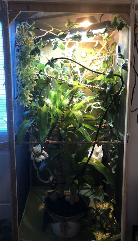 My Chameleon enclosure | Chameleon enclosure, Chameleon cage, Pet cage