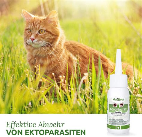 AniForte Ectoprotex cat – Spot On for cats, Tick protection & parasite ...