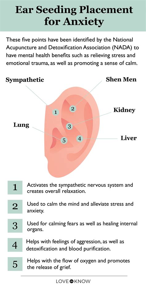 Printable Ear Seed Placement Chart