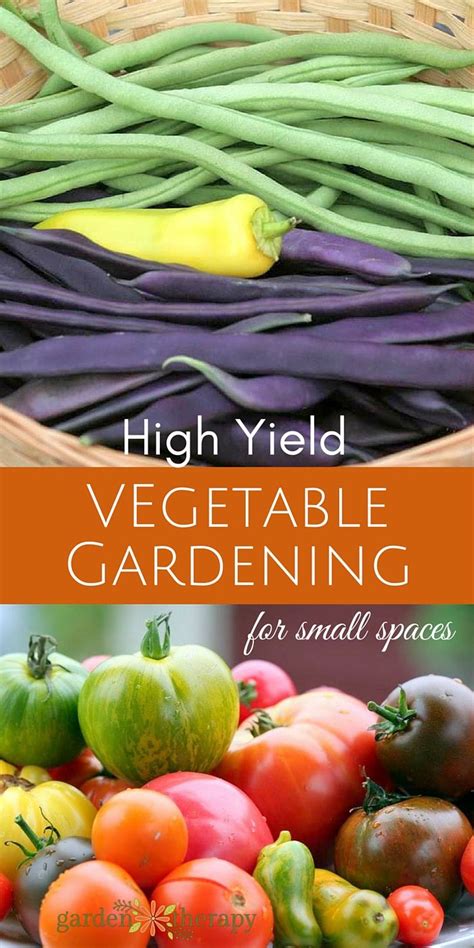 The Secrets to High-Yield Vegetable Gardening in Small Spaces - Garden Therapy | Small vegetable ...