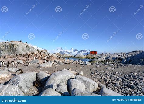 Petermann Island, Beautiful Antarctic Island with Penguins on Rocks, Abandoned Station and Snow ...