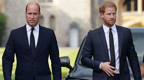 Prince Harry, Prince William had ‘extended negotiations’ before historic reunion