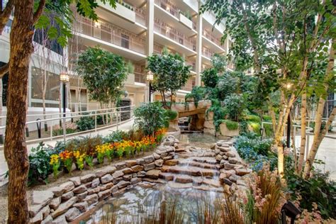 Indoor Atrium Trees & Plants at Senior Living Community | TreeScapes & PlantWorks