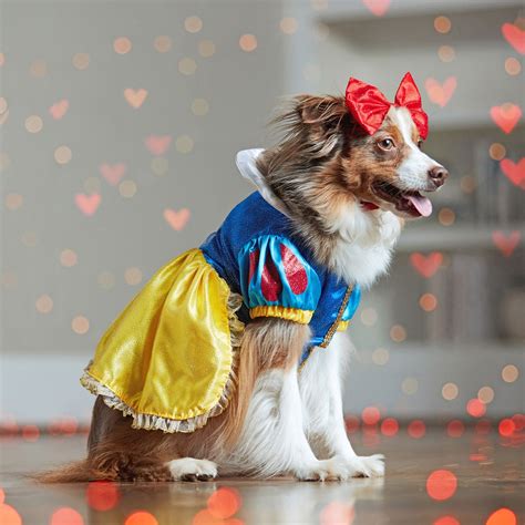 The Best Disney Dog Costumes for a Magical Halloween | BeChewy