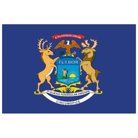 Michigan flag vector